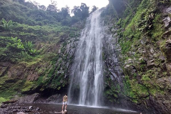 Private Materuni Waterfalls and Coffee Tour with Hot Lunch and Banana Wine Tasting