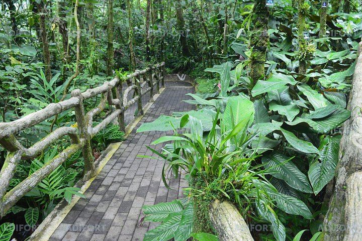 La Fortuna Waterfall Skip-the-Line Admission Ticket with River Trail and Viewpoint Access (8/12)