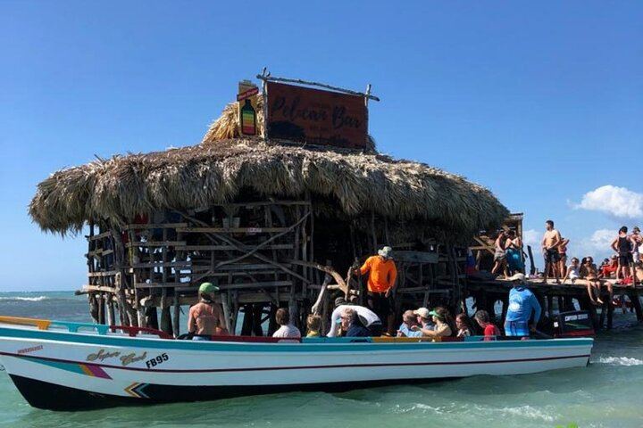 Private South Coast Tour: Pick Any 3 of YS Falls, Black River, Appleton or Pelican Bar (8/12)