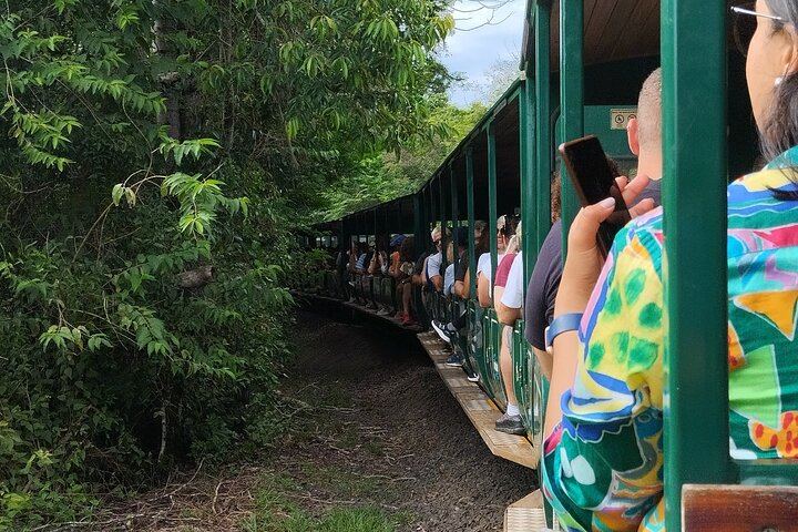 Private Iguazu Falls Day Tour, Argentina in the Morning and Brazil in the Afternoon (11/12)