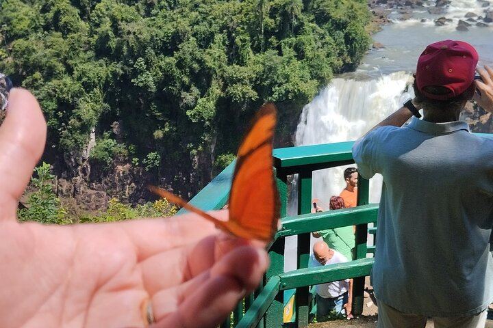 Private Iguazu Falls Day Tour, Argentina in the Morning and Brazil in the Afternoon (7/12)