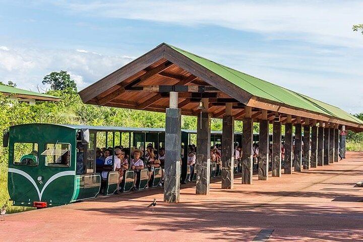 Private Iguazu Falls Day Tour, Argentina in the Morning and Brazil in the Afternoon (4/12)