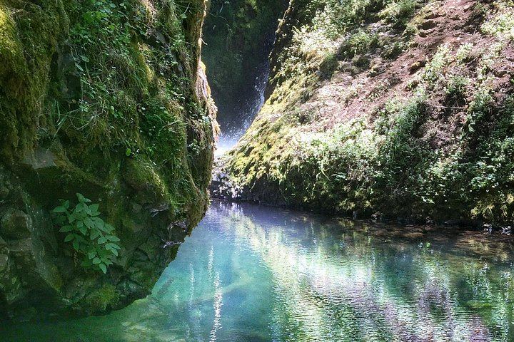 Half-Day Columbia Gorge Waterfall Hikes with Local Legends, Portland Pickup (4/7)