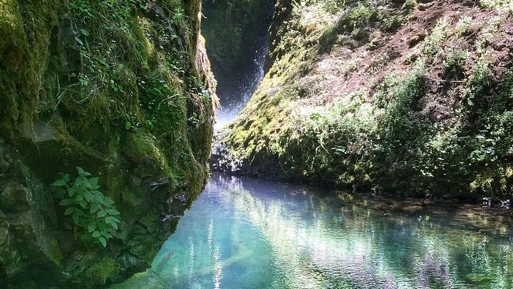 Half-Day Columbia Gorge Waterfall Hikes with Local Legends, Portland Pickup (4/7)