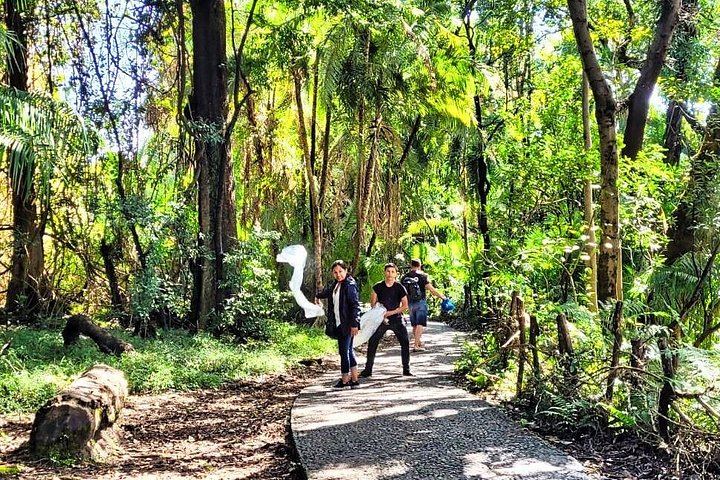 Victoria Falls Zimbabwe Side Guided Walk with Wildlife Safari by Savannah Adventures (1/12)