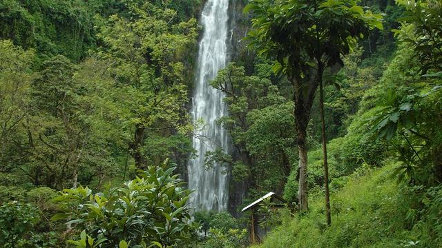 Materuni Waterfalls Swim and Chagga Coffee Half-Day Walk from Moshi Hotels (4/12)