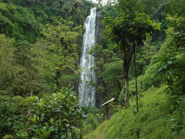 Materuni Waterfalls Swim and Chagga Coffee Half-Day Walk from Moshi Hotels (4/12)