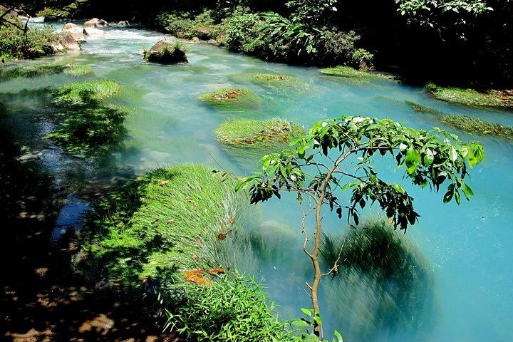 Rio Celeste Four-Hour Hike to the Blue Waterfall from La Fortuna (5/8)