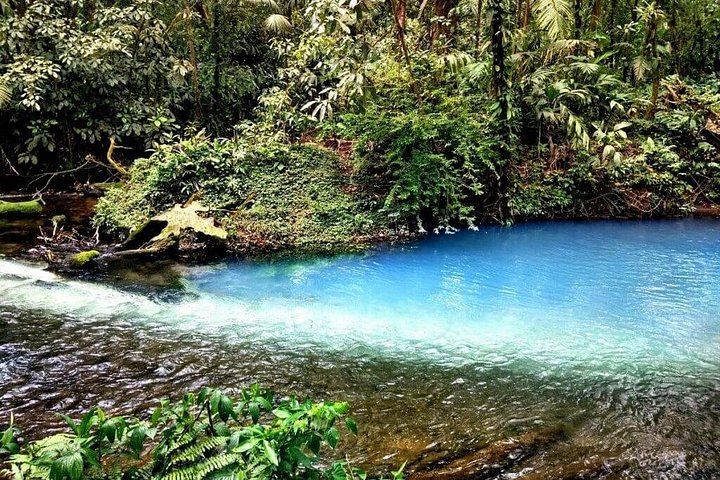 Rio Celeste Four-Hour Hike to the Blue Waterfall from La Fortuna (8/8)