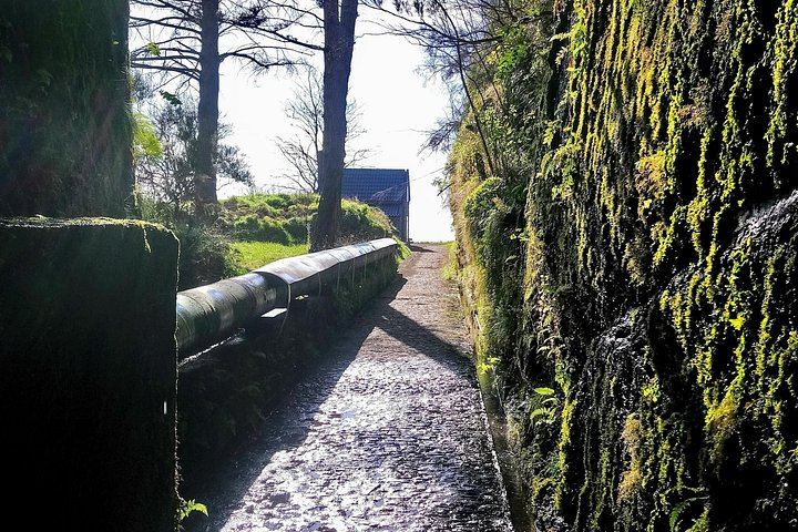Rabaçal Levada Hike, 17 km: 25 Fontes, Risco and Lagoa do Vento, Harder Small-Group Walk (7/9)