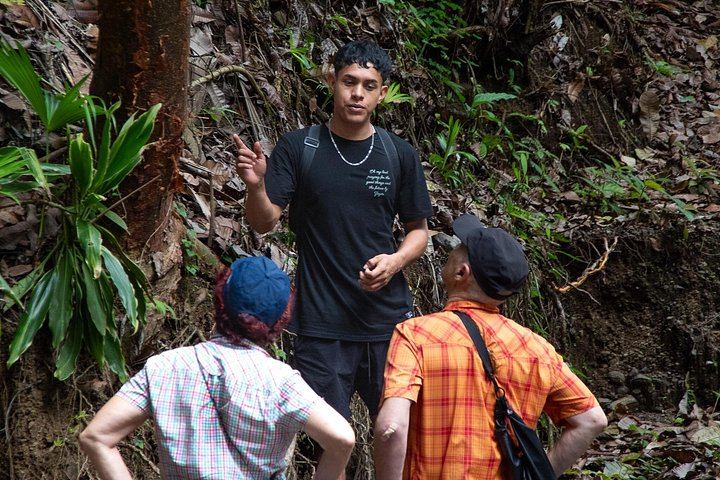 Guided Jaco Rainforest Hike to 10 Waterfalls with Cliff Jumping and Waterfall Climbing (4/11)