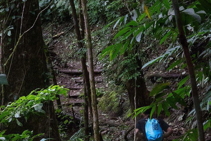 Guided Jaco Rainforest Hike to 10 Waterfalls with Cliff Jumping and Waterfall Climbing (6/11)