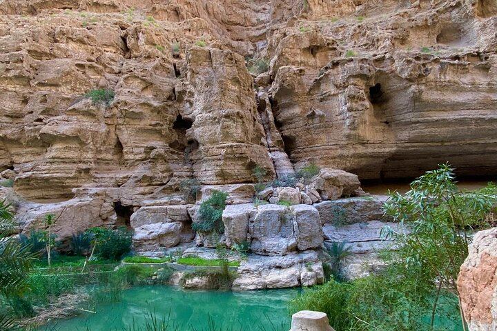 Private Wadi Shab Day Trip with Ras Al Shajer Coastal Drive, Gazelles and Omani Lunch (7/12)