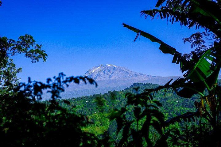 Bodaboda Motorbike Ride to Materuni Waterfall, Coffee and Village Tour (6/8)