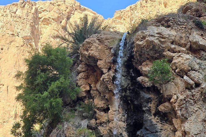 Private Wadi Shab Day Trip with Ras Al Shajer Coastal Drive, Gazelles and Omani Lunch (8/12)