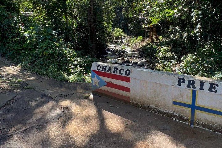 GeoAventuras Hidden Trail Waterfall Hike for Small Groups from San Juan (9/12)