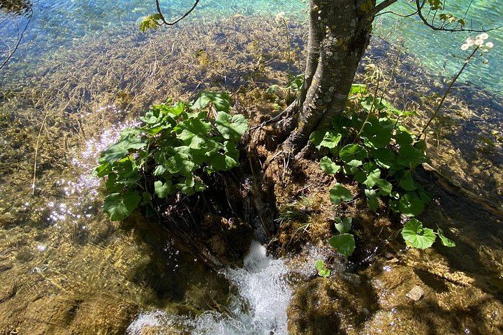 Plitvice Lakes Private Tour with Licensed Driver-Guide in a Blue Van from Zadar (8/8)