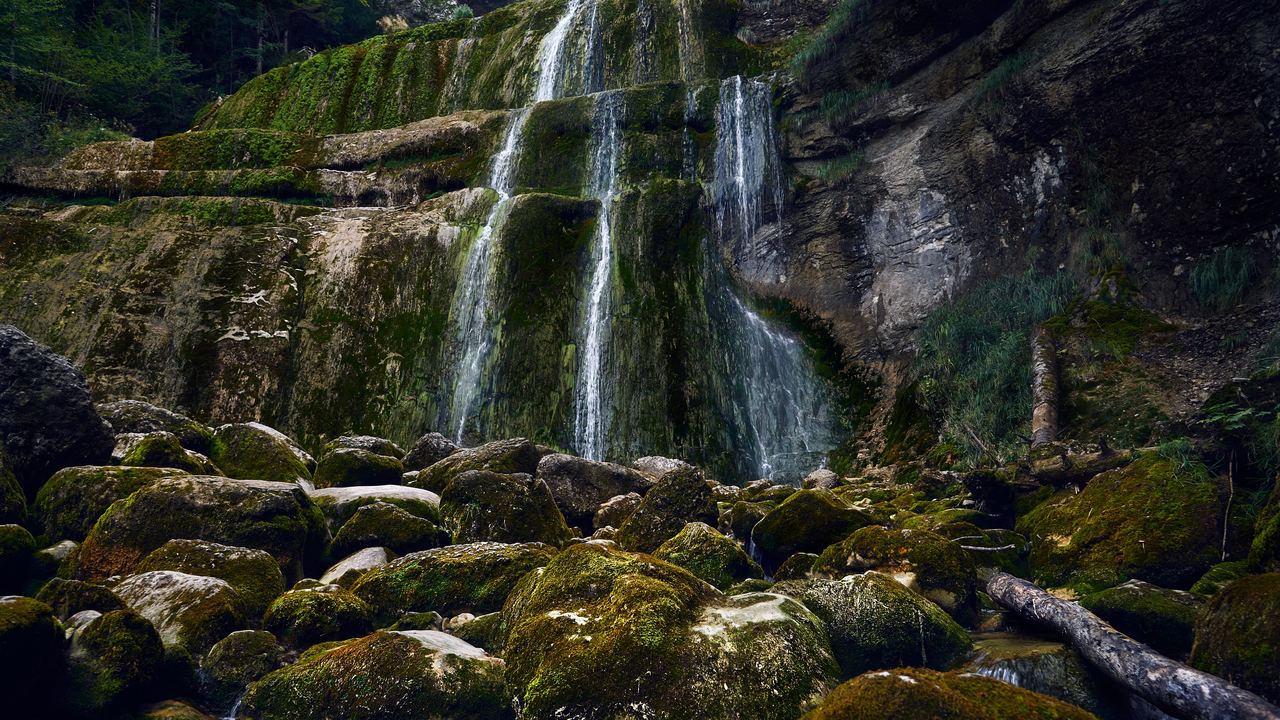 Several thin waterfalls running down a moss-covered rock wall above a boulder-strewn stream
