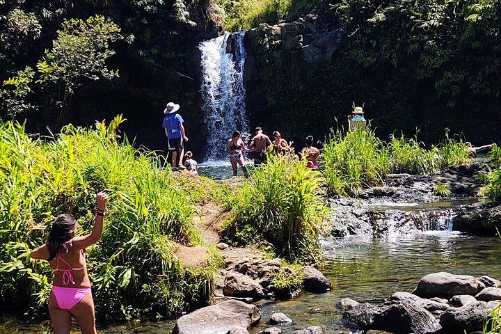 Halfway to Hana by Lincoln Navigator SUV: Waterfalls and Keanae, 6.5 Hours (2/12)