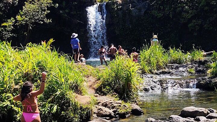 Halfway to Hana by Lincoln Navigator SUV: Waterfalls and Keanae, 6.5 Hours (2/12)