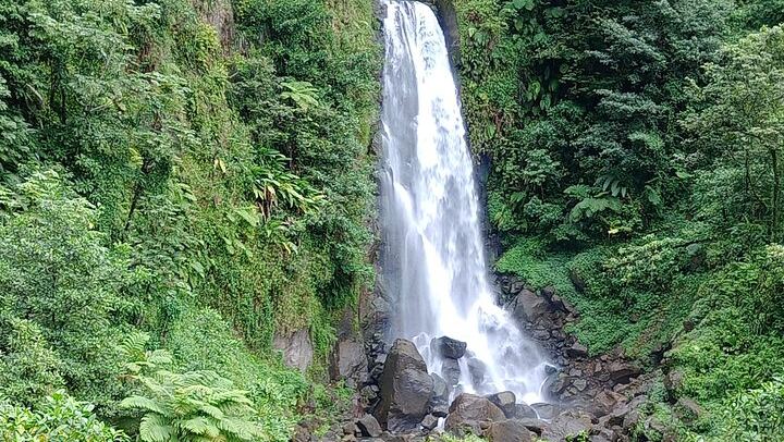 Two-Hour Scenic Drive to Trafalgar Falls and Sulphur Springs with Autop Tours (1/12)