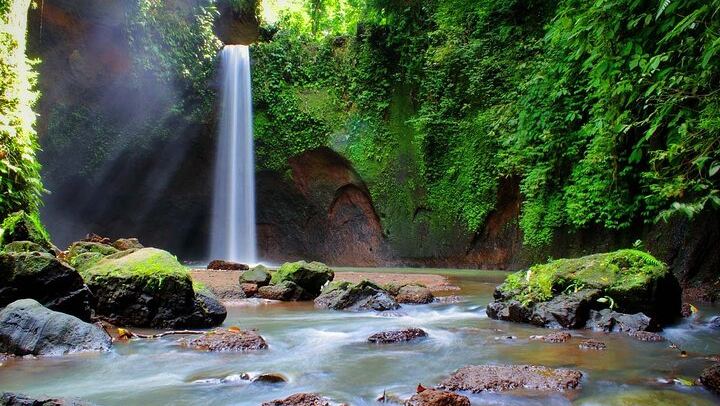 Private Ubud Tour: Tibumana Waterfall, Tegalalang Terraces, Swing and Ubud Palace (1/12)