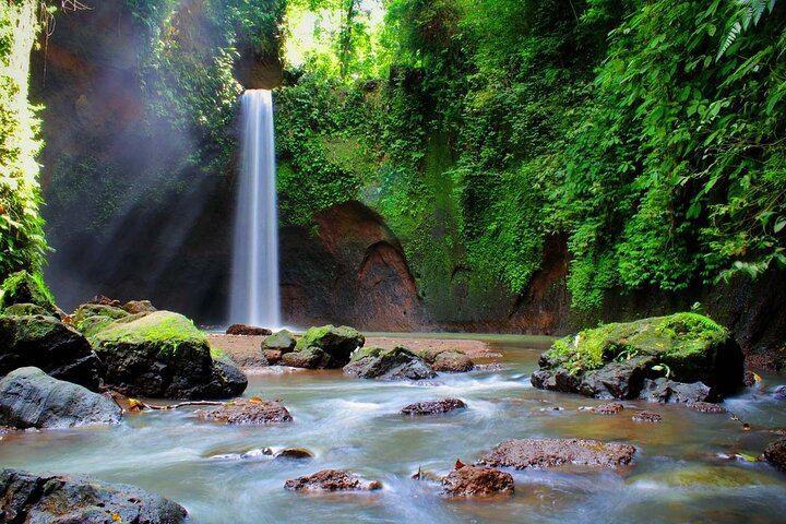 Private Ubud Tour: Tibumana Waterfall, Tegalalang Terraces, Swing and Ubud Palace (1/12)
