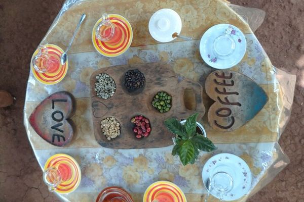Materuni Waterfall, Chimbo Point Coffee Ceremony and Local Lunch from Moshi