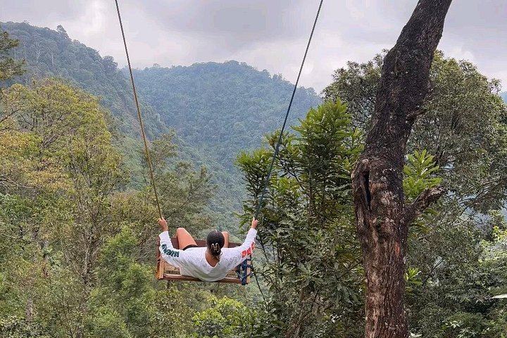 Materuni Waterfall, Chimbo Point Coffee Ceremony and Local Lunch from Moshi (7/12)