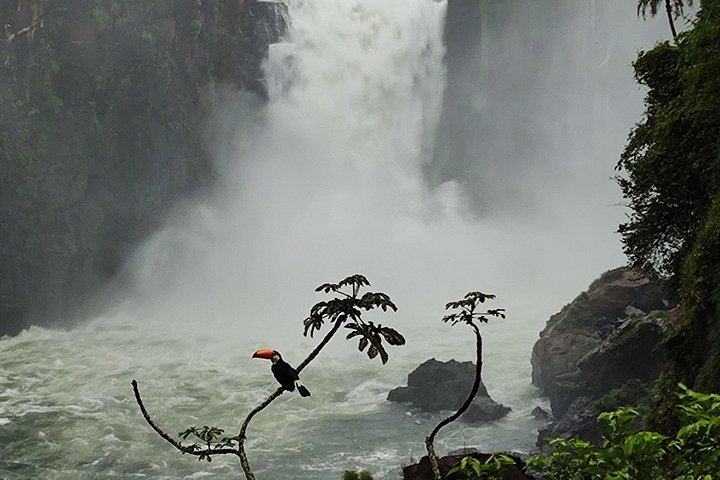 Private Iguazu Falls Argentine Side Day Tour with Optional 4x4 and Boat Safari (8/9)