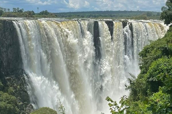 Victoria Falls Rainforest Trails Guided Tour with Air-Conditioned Vehicle