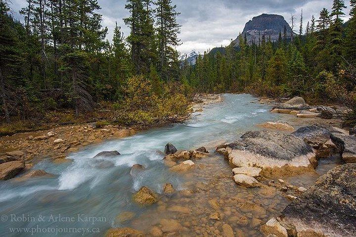 Small-Group Yoho and Kootenay Day Tour: Takakkaw Falls, Emerald Lake, Marble Canyon (3/11)