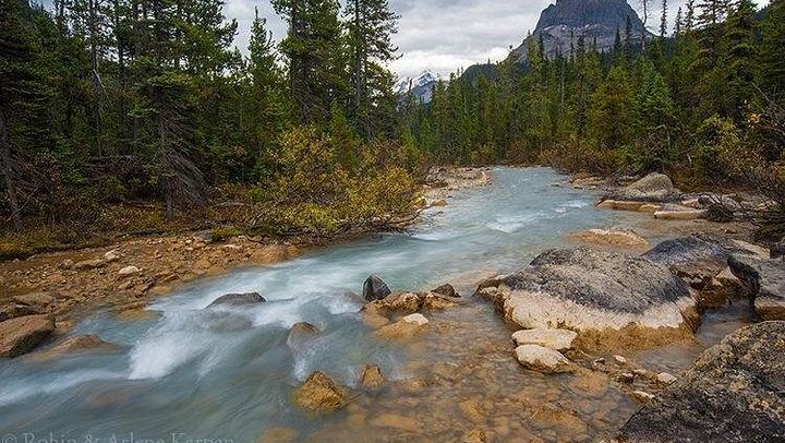 Small-Group Yoho and Kootenay Day Tour: Takakkaw Falls, Emerald Lake, Marble Canyon (3/11)