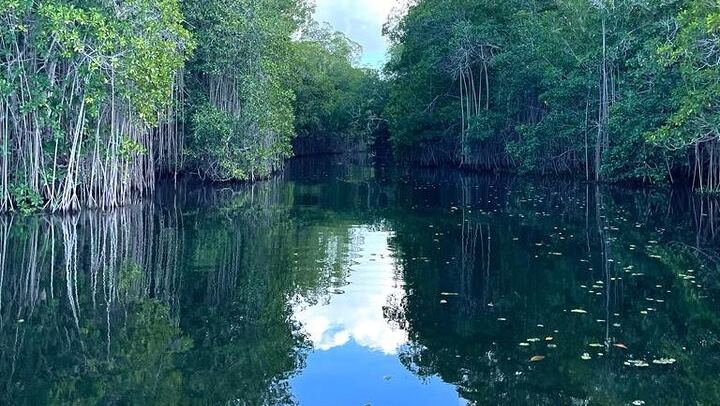 YS Falls, Black River Safari and Pelican Bar Day from Negril with Lunch Included (4/12)