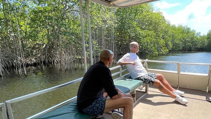 YS Falls, Black River Safari and Pelican Bar Day from Negril with Lunch Included (1/12)