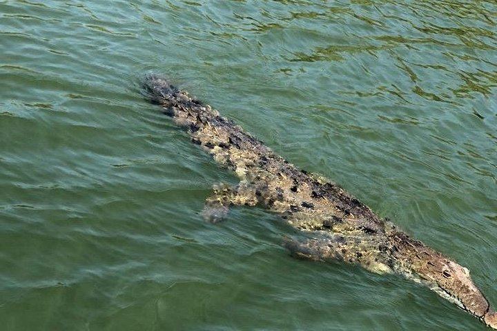YS Falls, Black River Safari and Pelican Bar Day from Negril with Lunch Included (9/12)