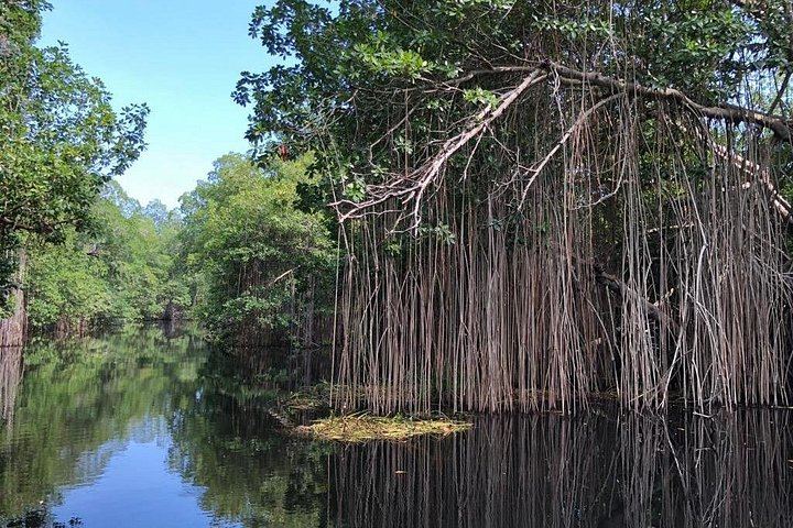 YS Falls, Black River Safari and Pelican Bar Day from Negril with Lunch Included (12/12)