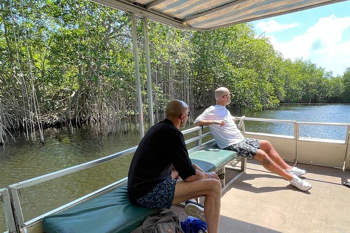 YS Falls, Black River Safari and Pelican Bar Day from Negril with Lunch Included (1/12)