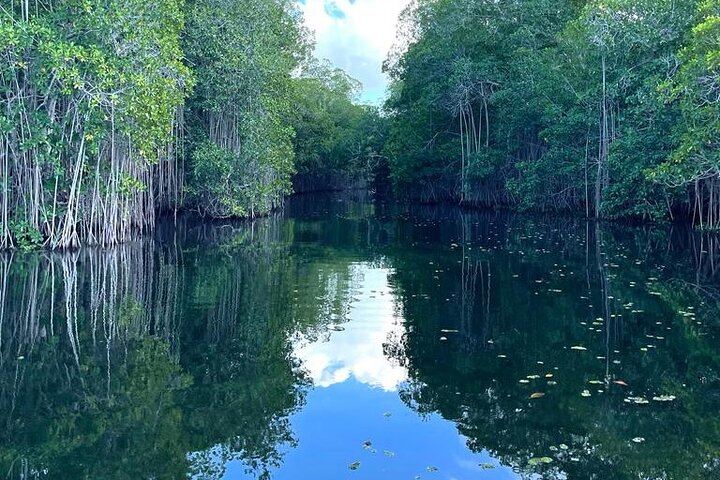 YS Falls, Black River Safari and Pelican Bar Day from Negril with Lunch Included (4/12)