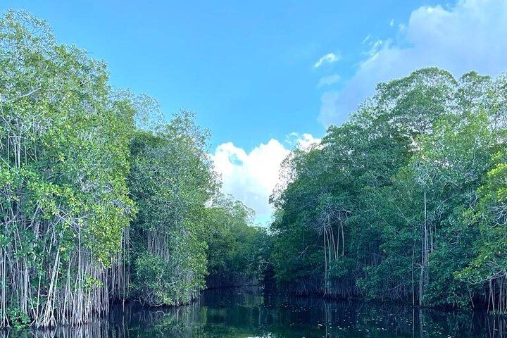 YS Falls, Black River Safari and Pelican Bar Day from Negril with Lunch Included (5/12)