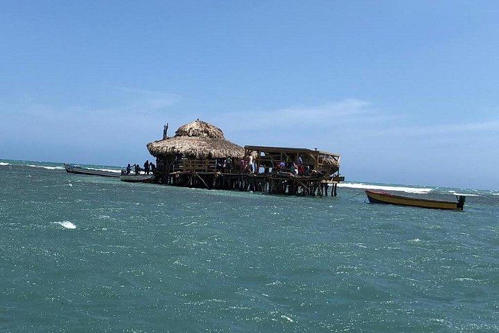 YS Falls, Black River Safari and Pelican Bar Day from Negril with Lunch Included (7/12)
