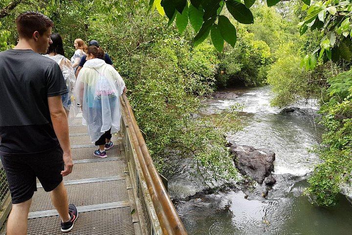 Iguazu Falls Argentine Side Guided Day Trip by Minivan from Foz do Iguacu (3/10)