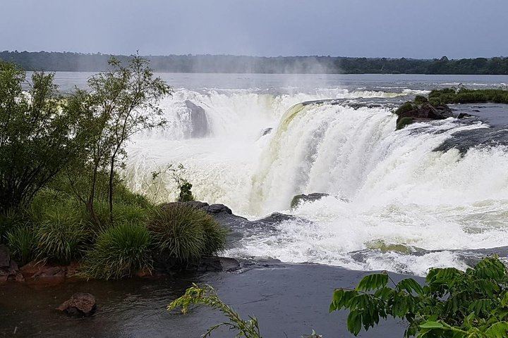 Iguazu Falls Argentine Side Guided Day Trip by Minivan from Foz do Iguacu (5/10)