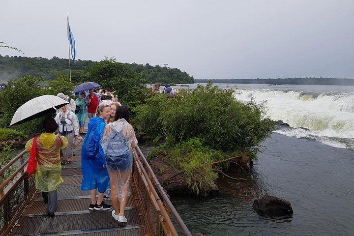 Iguazu Falls Argentine Side Guided Day Trip by Minivan from Foz do Iguacu (4/10)