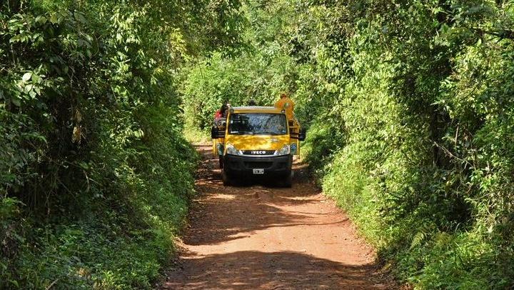 Iguazu Falls Day Tour from Puerto Iguazu with Train, Jungle Truck and Boat (3/12)
