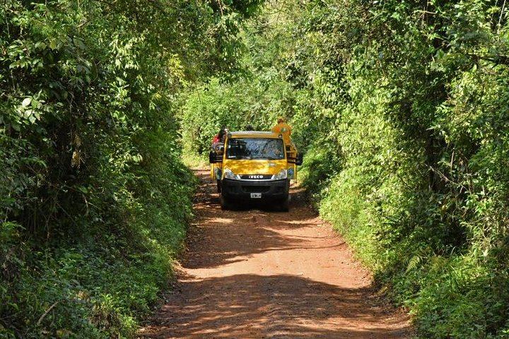 Iguazu Falls Day Tour from Puerto Iguazu with Train, Jungle Truck and Boat (3/12)