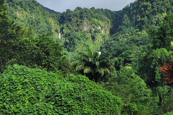 Two-Hour Scenic Drive to Trafalgar Falls and Sulphur Springs with Autop Tours