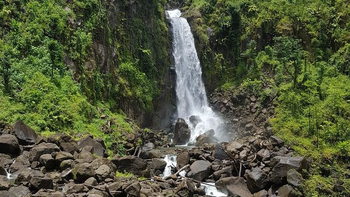 Private Roseau Valley Tour for Up to 6: Freshwater Lake, Ti Tou Gorge, Hot Springs (1/4)