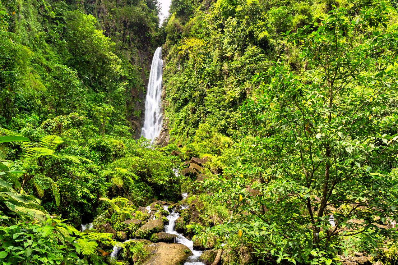 Trafalgar Falls in Dominica dropping from a green cliff above a rocky stream