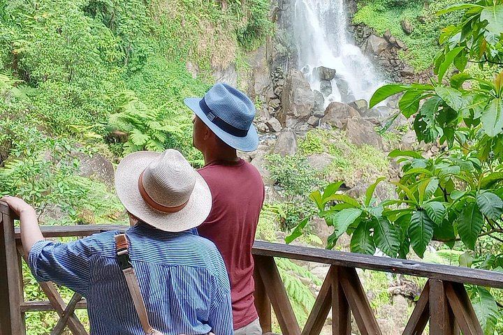 Private Dominica Waterfalls Tour with Autop Tours: Freshwater Lake to Morne Bruce (2/12)